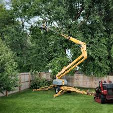 Best Pest Control for Lawns  in Forest Park, GA